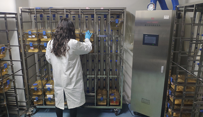 ​黄连大健康产品系列