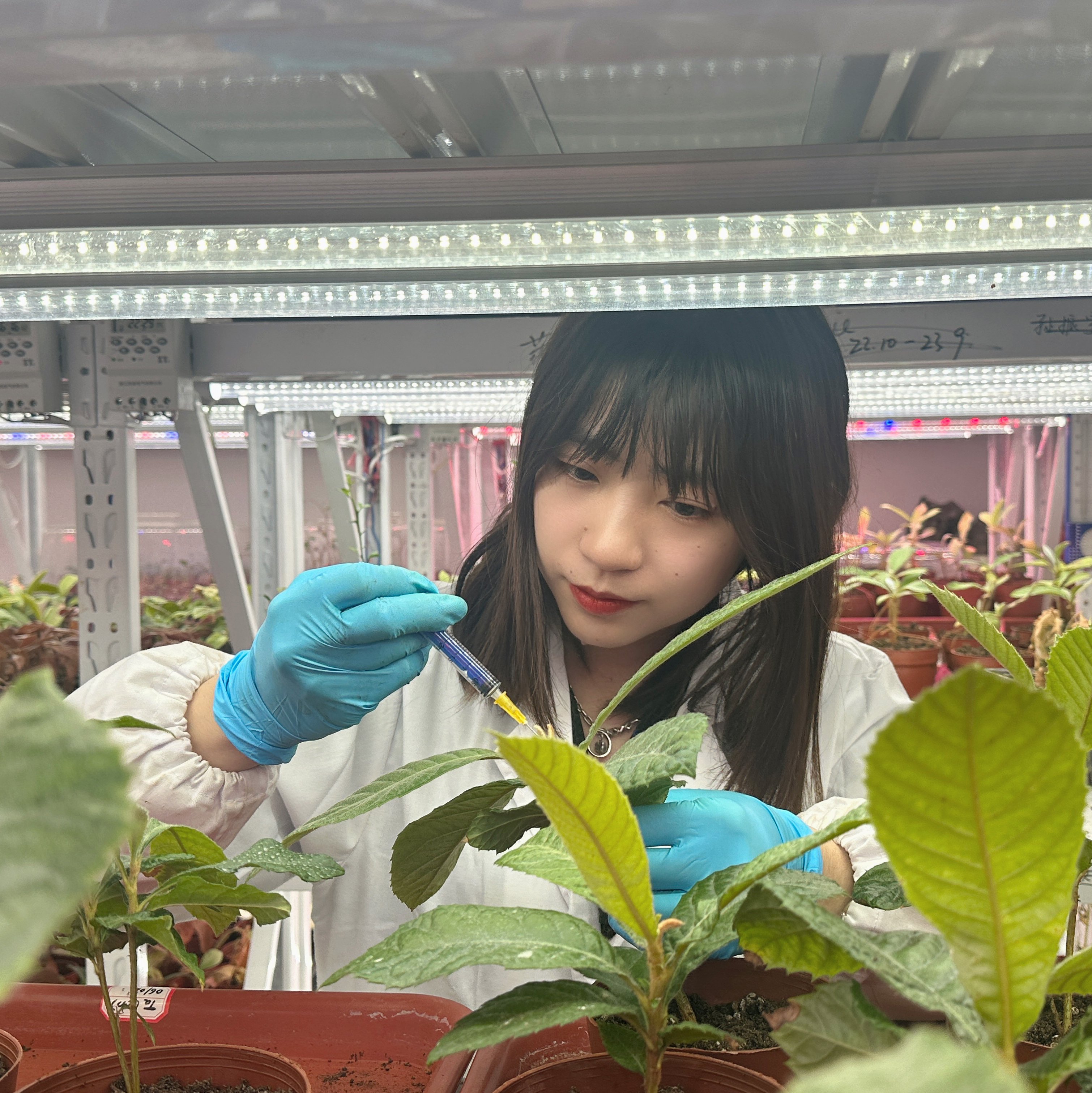 团队负责人：吴頔