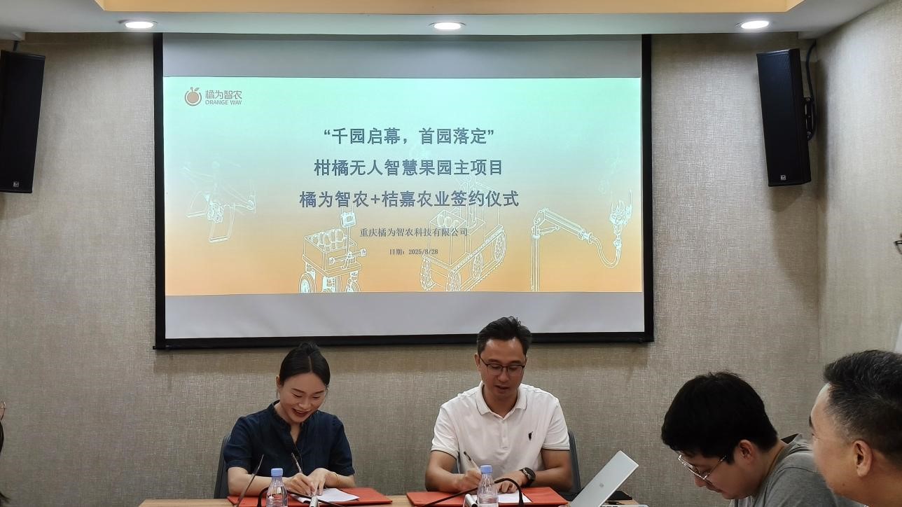 智启千园梦，橘香绘未来